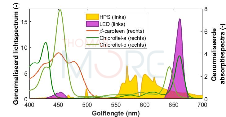 Grafiek met lichtspectra van een HPS- en LED-lamp en absorptiespectra van pigmenten in de plant, namelijk Beta-caroteen, chlorofiel-a en chlorofiel-b